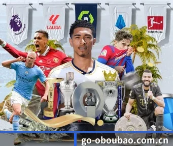 go-oboubao.com.cn APP 界面