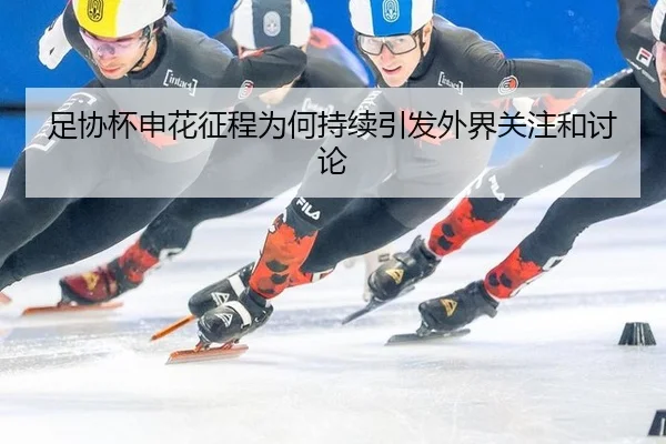 zu-xie-bei-shen-hua-zheng-cheng-wei-he-chi-xu-yin-fa-wai-jie-guan-zhu-he-tao-lun-2-687.jpg